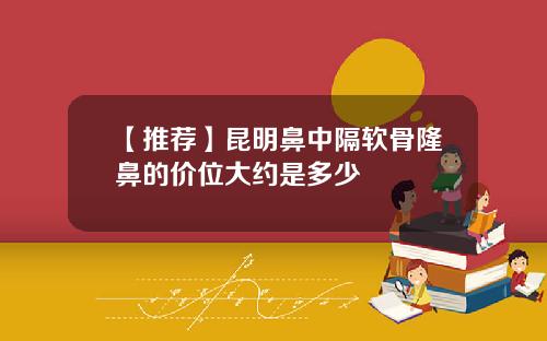 【推荐】昆明鼻中隔软骨隆鼻的价位大约是多少