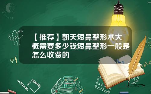 【推荐】朝天短鼻整形术大概需要多少钱短鼻整形一般是怎么收费的