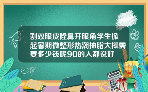 割双眼皮隆鼻开眼角学生掀起暑期微整形热潮抽脂大概需要多少钱呢90的人都说好