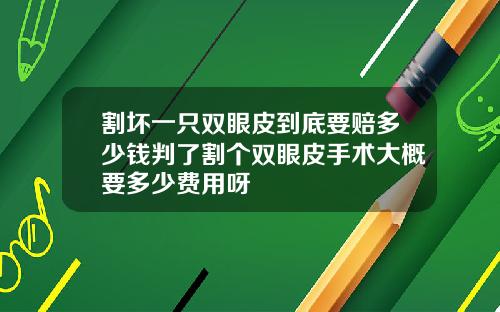 割坏一只双眼皮到底要赔多少钱判了割个双眼皮手术大概要多少费用呀