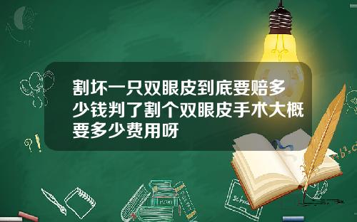 割坏一只双眼皮到底要赔多少钱判了割个双眼皮手术大概要多少费用呀
