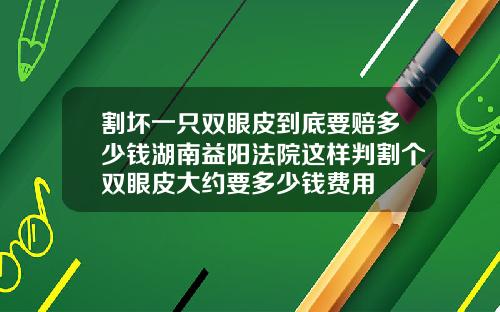 割坏一只双眼皮到底要赔多少钱湖南益阳法院这样判割个双眼皮大约要多少钱费用