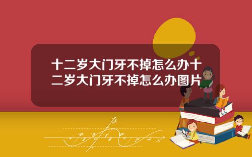 十二岁大门牙不掉怎么办十二岁大门牙不掉怎么办图片