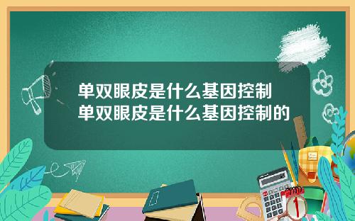 单双眼皮是什么基因控制 单双眼皮是什么基因控制的
