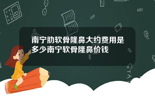 南宁肋软骨隆鼻大约费用是多少南宁软骨隆鼻价钱