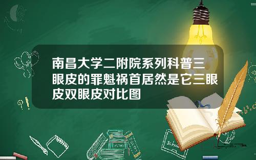 南昌大学二附院系列科普三眼皮的罪魁祸首居然是它三眼皮双眼皮对比图