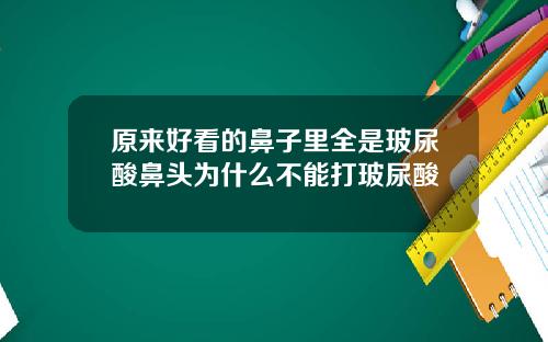 原来好看的鼻子里全是玻尿酸鼻头为什么不能打玻尿酸