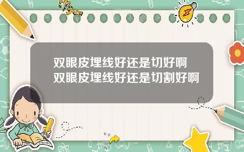 双眼皮埋线好还是切好啊 双眼皮埋线好还是切割好啊