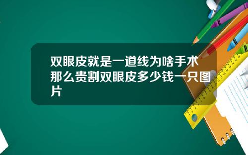 双眼皮就是一道线为啥手术那么贵割双眼皮多少钱一只图片