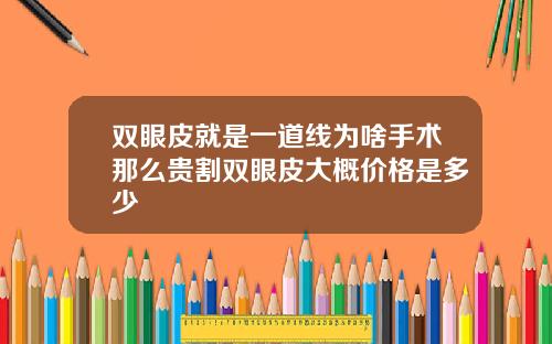 双眼皮就是一道线为啥手术那么贵割双眼皮大概价格是多少