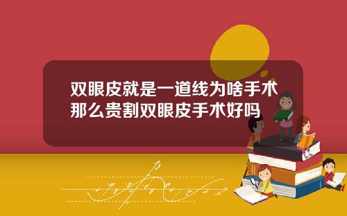 双眼皮就是一道线为啥手术那么贵割双眼皮手术好吗