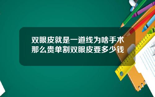 双眼皮就是一道线为啥手术那么贵单割双眼皮要多少钱