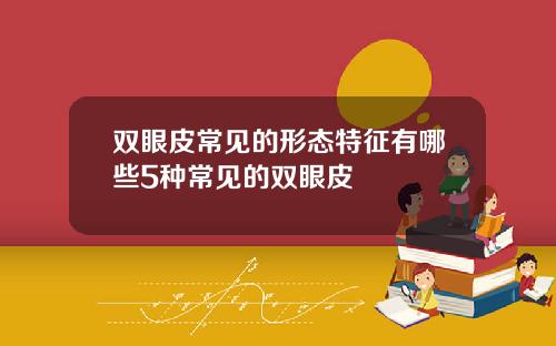 双眼皮常见的形态特征有哪些5种常见的双眼皮