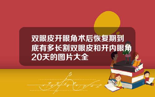 双眼皮开眼角术后恢复期到底有多长割双眼皮和开内眼角20天的图片大全