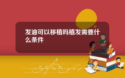 发油可以移植吗植发需要什么条件