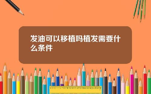 发油可以移植吗植发需要什么条件