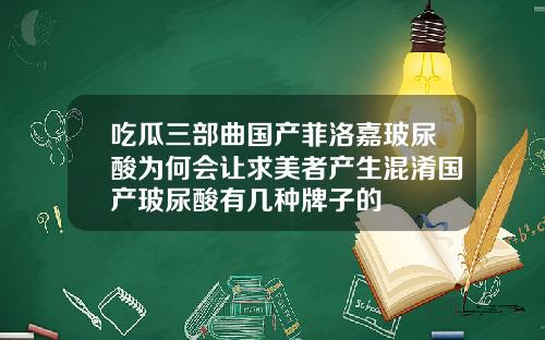 吃瓜三部曲国产菲洛嘉玻尿酸为何会让求美者产生混淆国产玻尿酸有几种牌子的