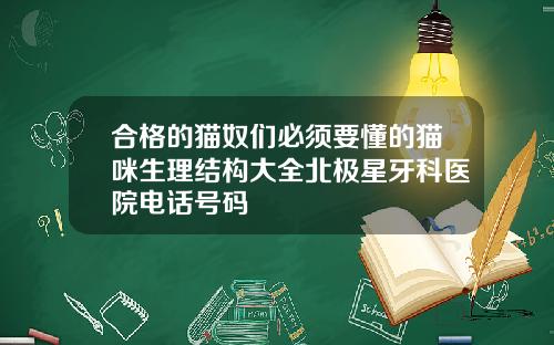 合格的猫奴们必须要懂的猫咪生理结构大全北极星牙科医院电话号码