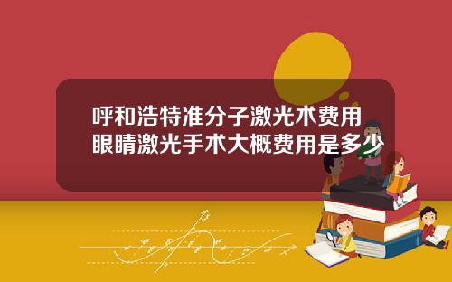 呼和浩特准分子激光术费用眼睛激光手术大概费用是多少