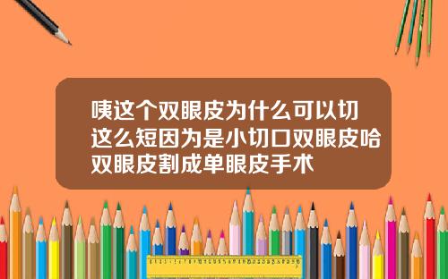 咦这个双眼皮为什么可以切这么短因为是小切口双眼皮哈双眼皮割成单眼皮手术