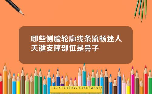 哪些侧脸轮廓线条流畅迷人关键支撑部位是鼻子