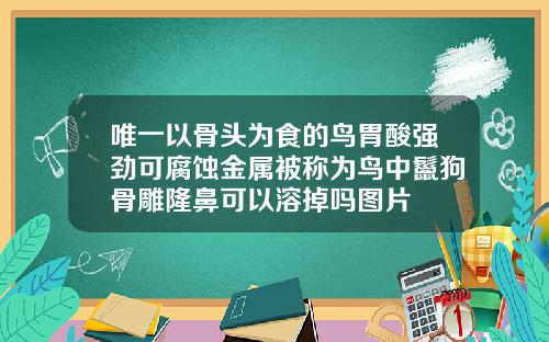 唯一以骨头为食的鸟胃酸强劲可腐蚀金属被称为鸟中鬣狗骨雕隆鼻可以溶掉吗图片