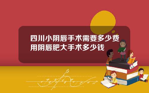四川小阴唇手术需要多少费用阴唇肥大手术多少钱