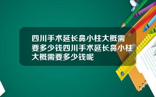 四川手术延长鼻小柱大概需要多少钱四川手术延长鼻小柱大概需要多少钱呢