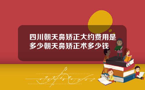 四川朝天鼻矫正大约费用是多少朝天鼻矫正术多少钱