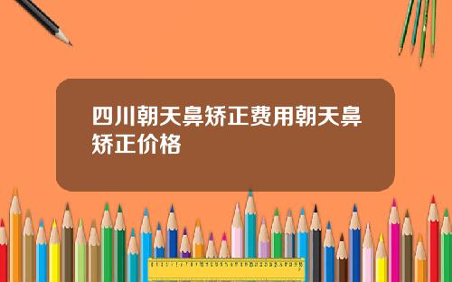 四川朝天鼻矫正费用朝天鼻矫正价格