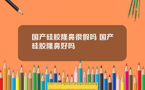国产硅胶隆鼻很假吗 国产硅胶隆鼻好吗