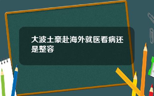 大波土豪赴海外就医看病还是整容