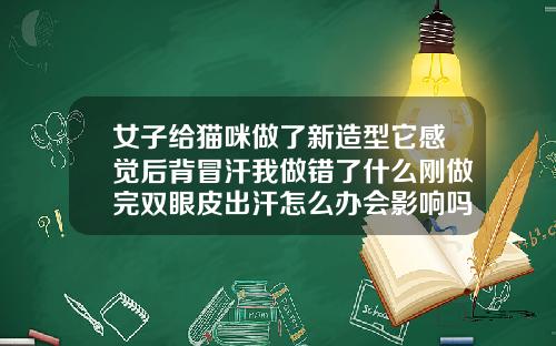 女子给猫咪做了新造型它感觉后背冒汗我做错了什么刚做完双眼皮出汗怎么办会影响吗