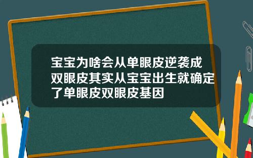 宝宝为啥会从单眼皮逆袭成双眼皮其实从宝宝出生就确定了单眼皮双眼皮基因