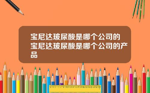 宝尼达玻尿酸是哪个公司的宝尼达玻尿酸是哪个公司的产品