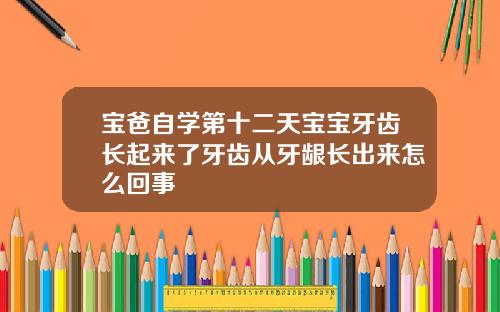 宝爸自学第十二天宝宝牙齿长起来了牙齿从牙龈长出来怎么回事