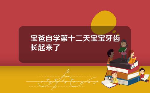 宝爸自学第十二天宝宝牙齿长起来了