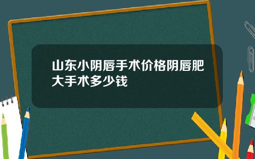 山东小阴唇手术价格阴唇肥大手术多少钱