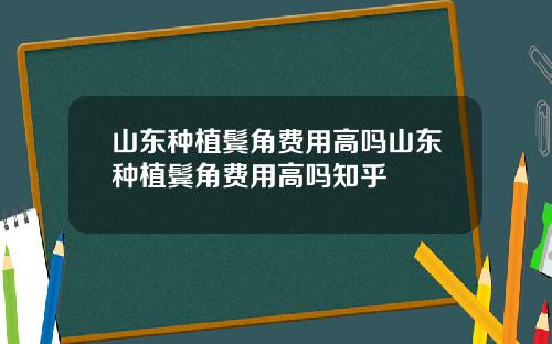 山东种植鬓角费用高吗山东种植鬓角费用高吗知乎