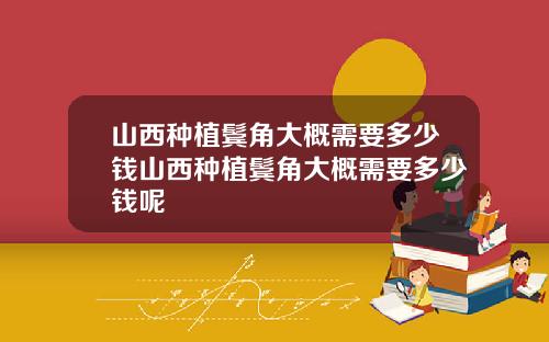 山西种植鬓角大概需要多少钱山西种植鬓角大概需要多少钱呢