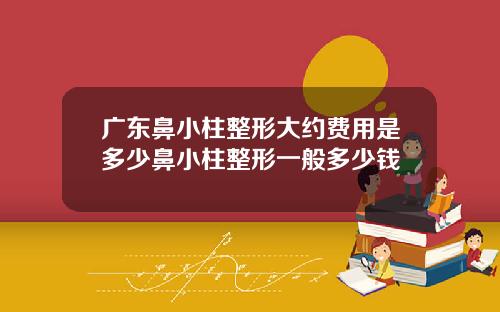 广东鼻小柱整形大约费用是多少鼻小柱整形一般多少钱