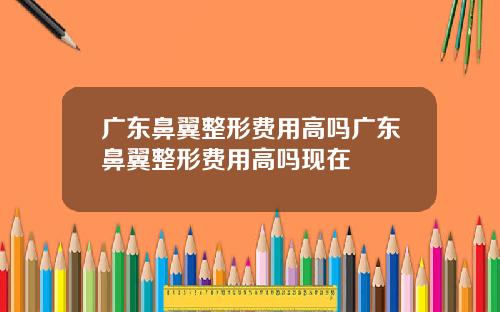 广东鼻翼整形费用高吗广东鼻翼整形费用高吗现在