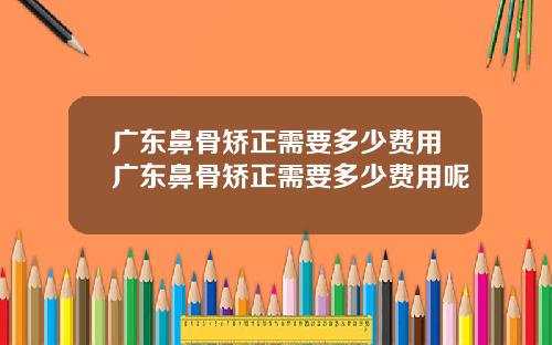 广东鼻骨矫正需要多少费用广东鼻骨矫正需要多少费用呢