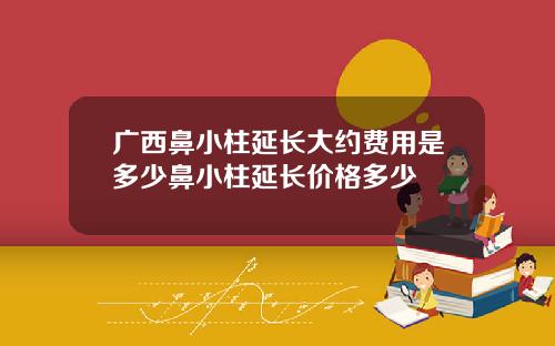 广西鼻小柱延长大约费用是多少鼻小柱延长价格多少