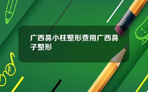 广西鼻小柱整形费用广西鼻子整形