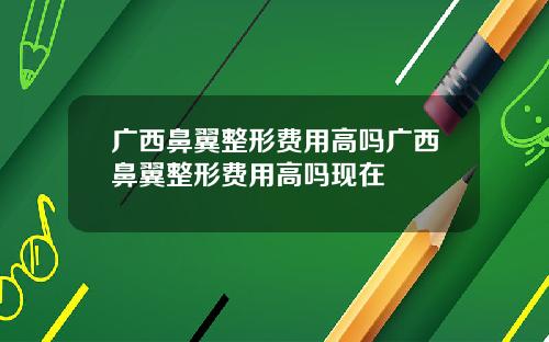 广西鼻翼整形费用高吗广西鼻翼整形费用高吗现在