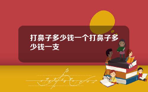 打鼻子多少钱一个打鼻子多少钱一支
