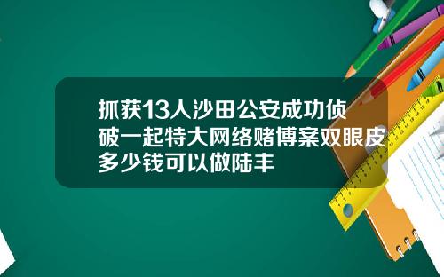 抓获13人沙田公安成功侦破一起特大网络赌博案双眼皮多少钱可以做陆丰