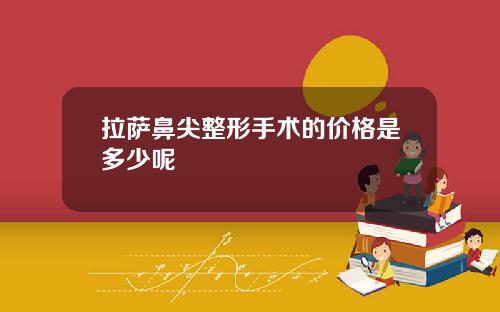 拉萨鼻尖整形手术的价格是多少呢