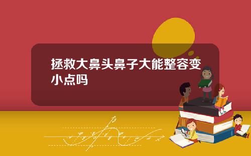 拯救大鼻头鼻子大能整容变小点吗